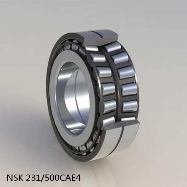 231/500CAE4 NSK Spherical Roller Bearing