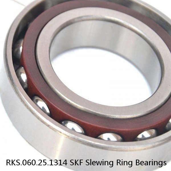 RKS.060.25.1314 SKF Slewing Ring Bearings