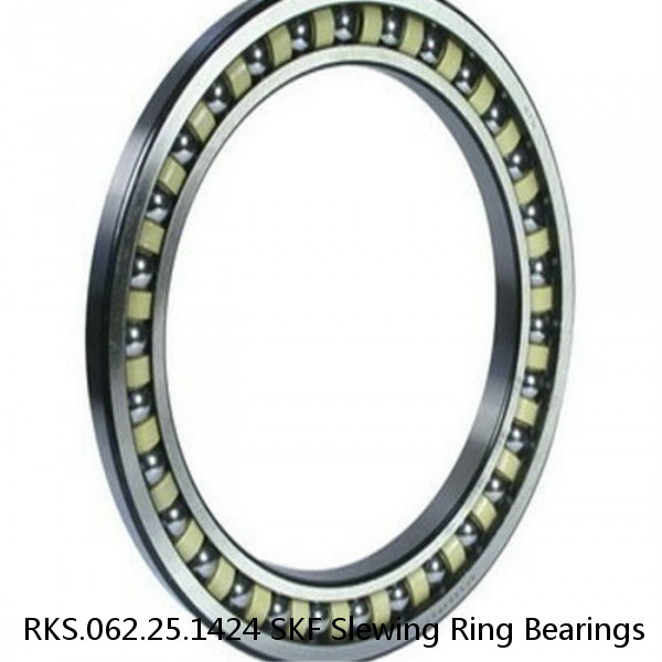RKS.062.25.1424 SKF Slewing Ring Bearings