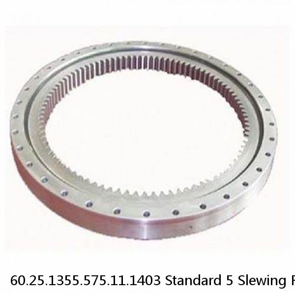 60.25.1355.575.11.1403 Standard 5 Slewing Ring Bearings