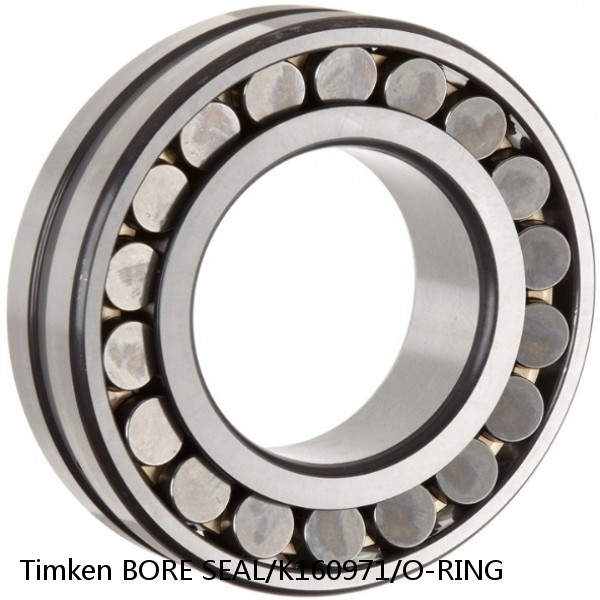 BORE SEAL/K160971/O-RING Timken Spherical Roller Bearing
