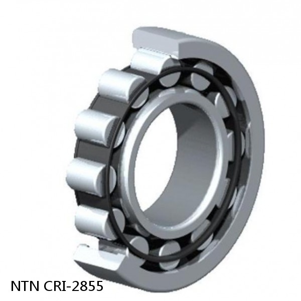 CRI-2855 NTN Cylindrical Roller Bearing