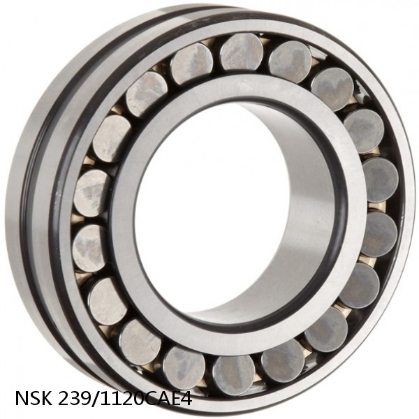 239/1120CAE4 NSK Spherical Roller Bearing