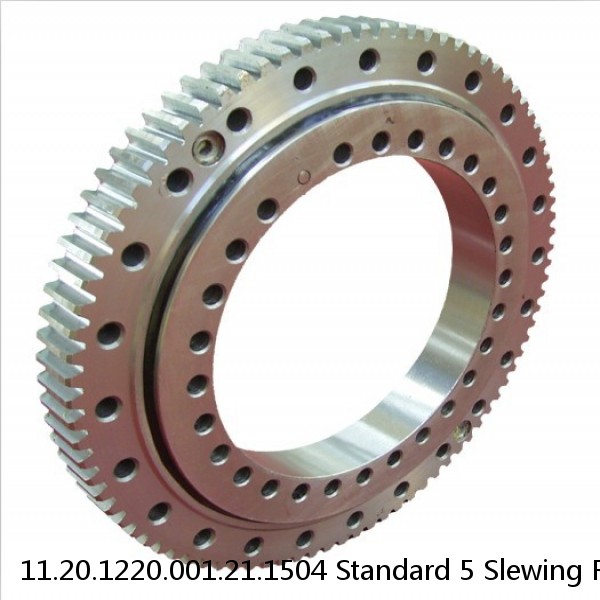 11.20.1220.001.21.1504 Standard 5 Slewing Ring Bearings