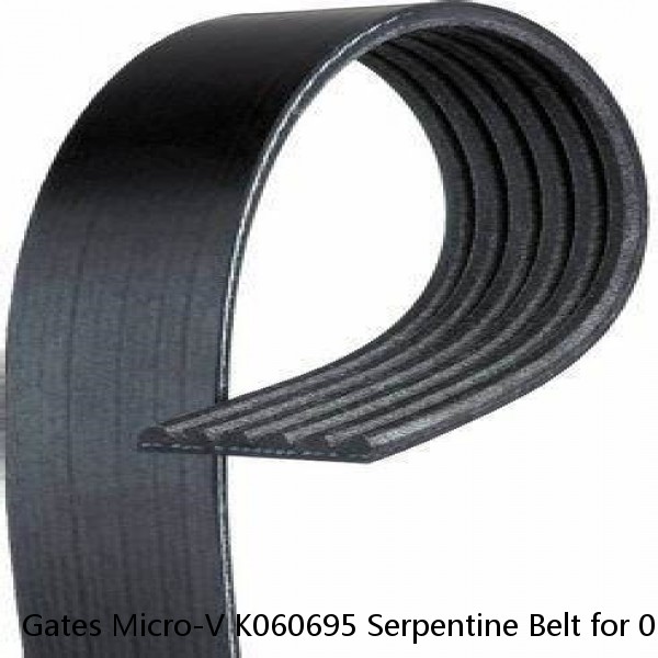 Gates Micro-V K060695 Serpentine Belt for 0119973692 037145833 037145933C mg