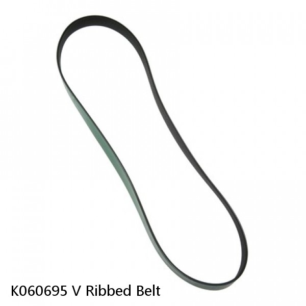 K060695 V Ribbed Belt