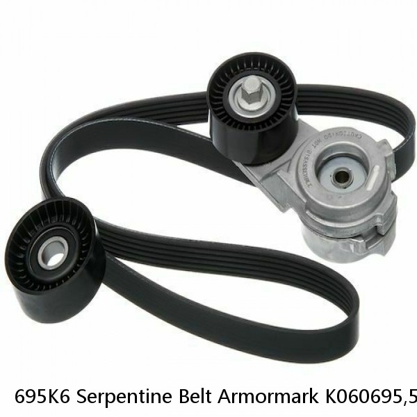 695K6 Serpentine Belt Armormark K060695,5060695,4060695 [B4B5]