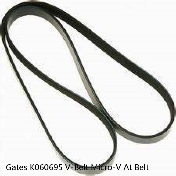 Gates K060695 V-Belt Micro-V At Belt