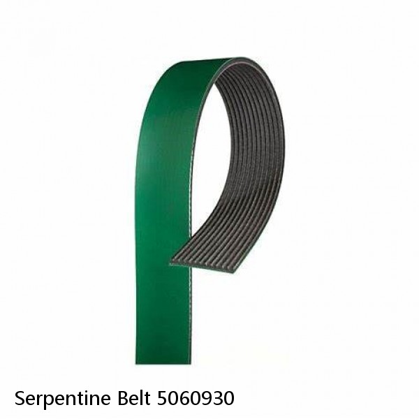 Serpentine Belt 5060930