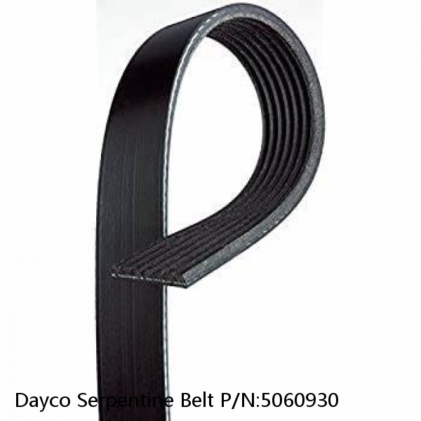 Dayco Serpentine Belt P/N:5060930